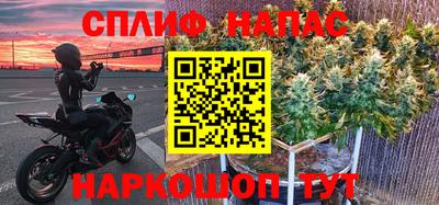 альфа пвп Новокубанск