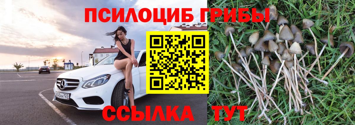 Псилоцибиновые грибы Magic Shrooms Шарыпово